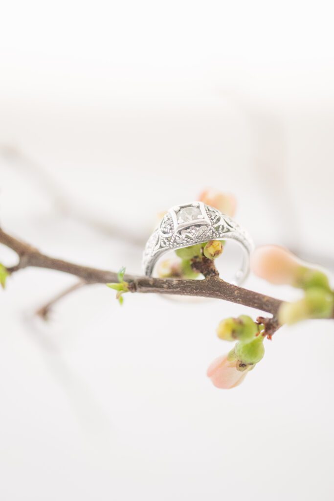 a silver vintage wedding ring hangs perched on a branch with pink buds and a white background
