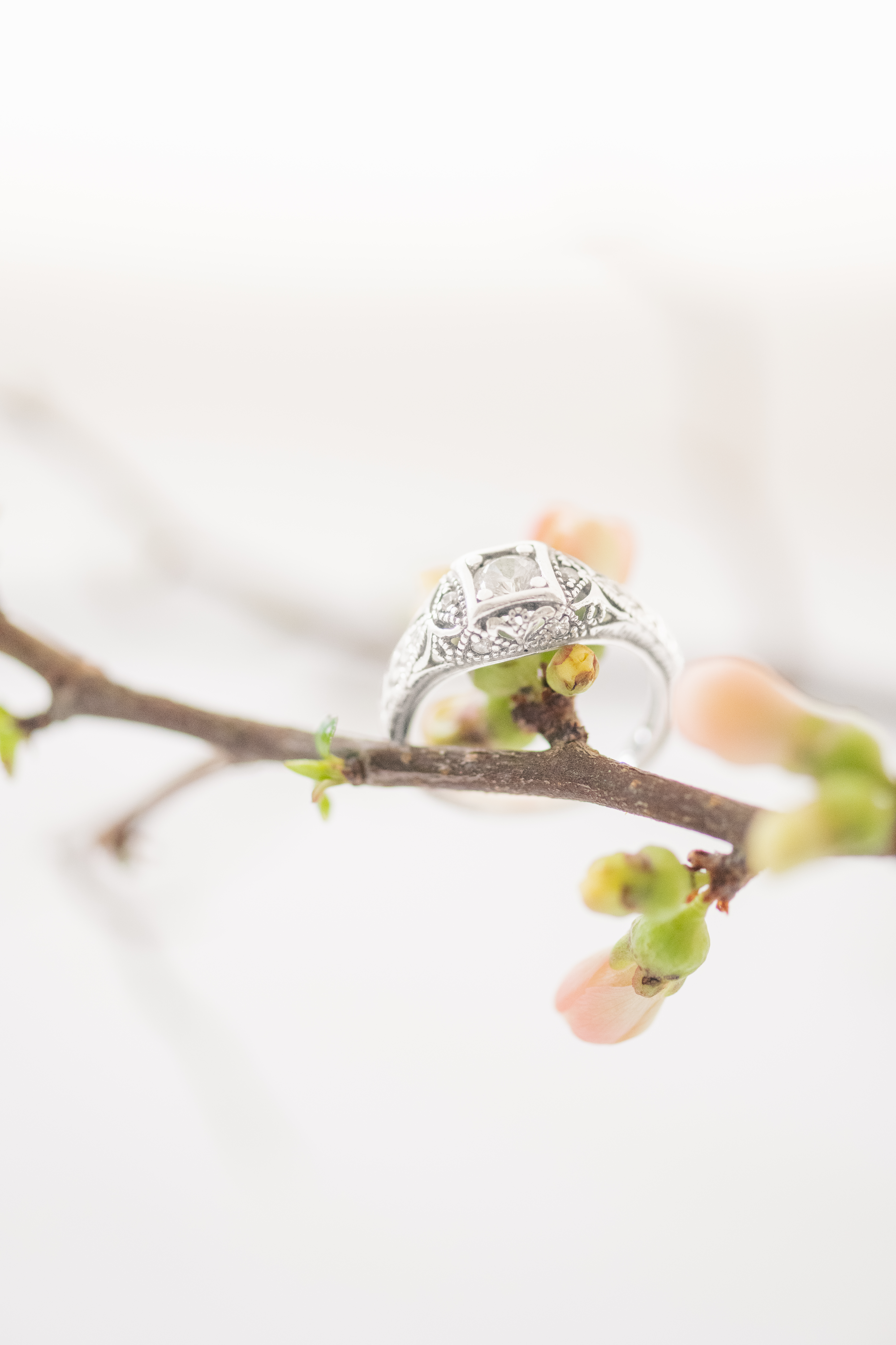 a silver vintage wedding ring hangs perched on a branch with pink buds and a white background
