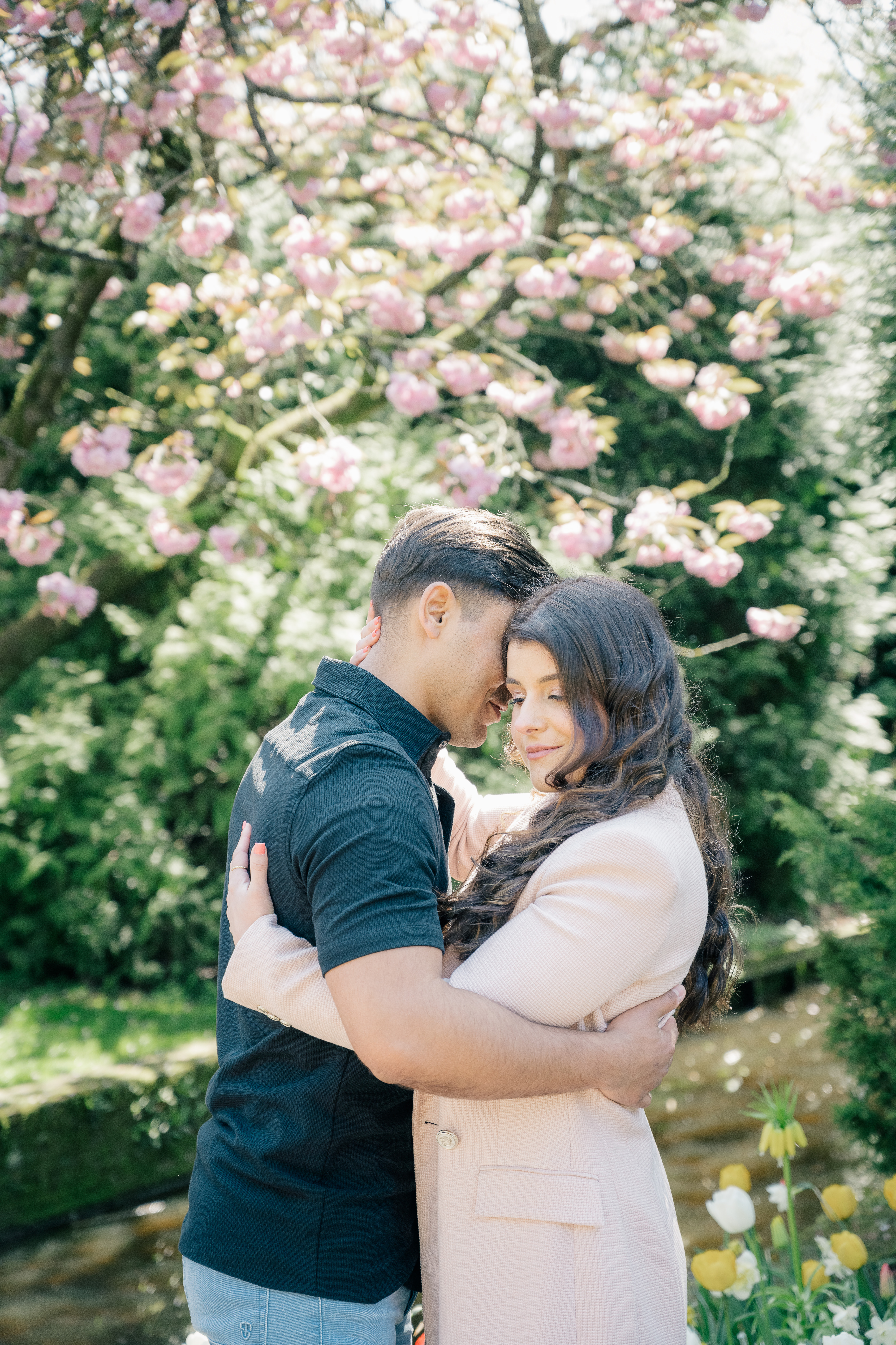 anniversary photoshoot with husband and wife embracing and foreheads touchingunder a blooming magnolia tree in the keukenhof garden
