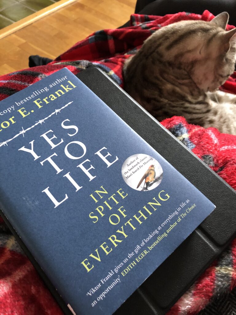 Victor Frankl's book Yes to Life In Spite of Everything on a pile of books with a blanket and cat