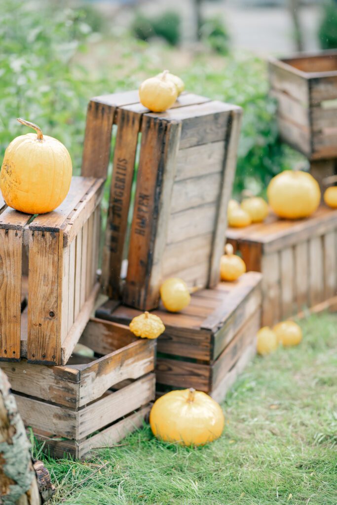 small orange pumpkins sit on wooden crates as a backdrop to an outdoor september garden wedding.  They're wet from rain but the rain stopped before the ceremony
