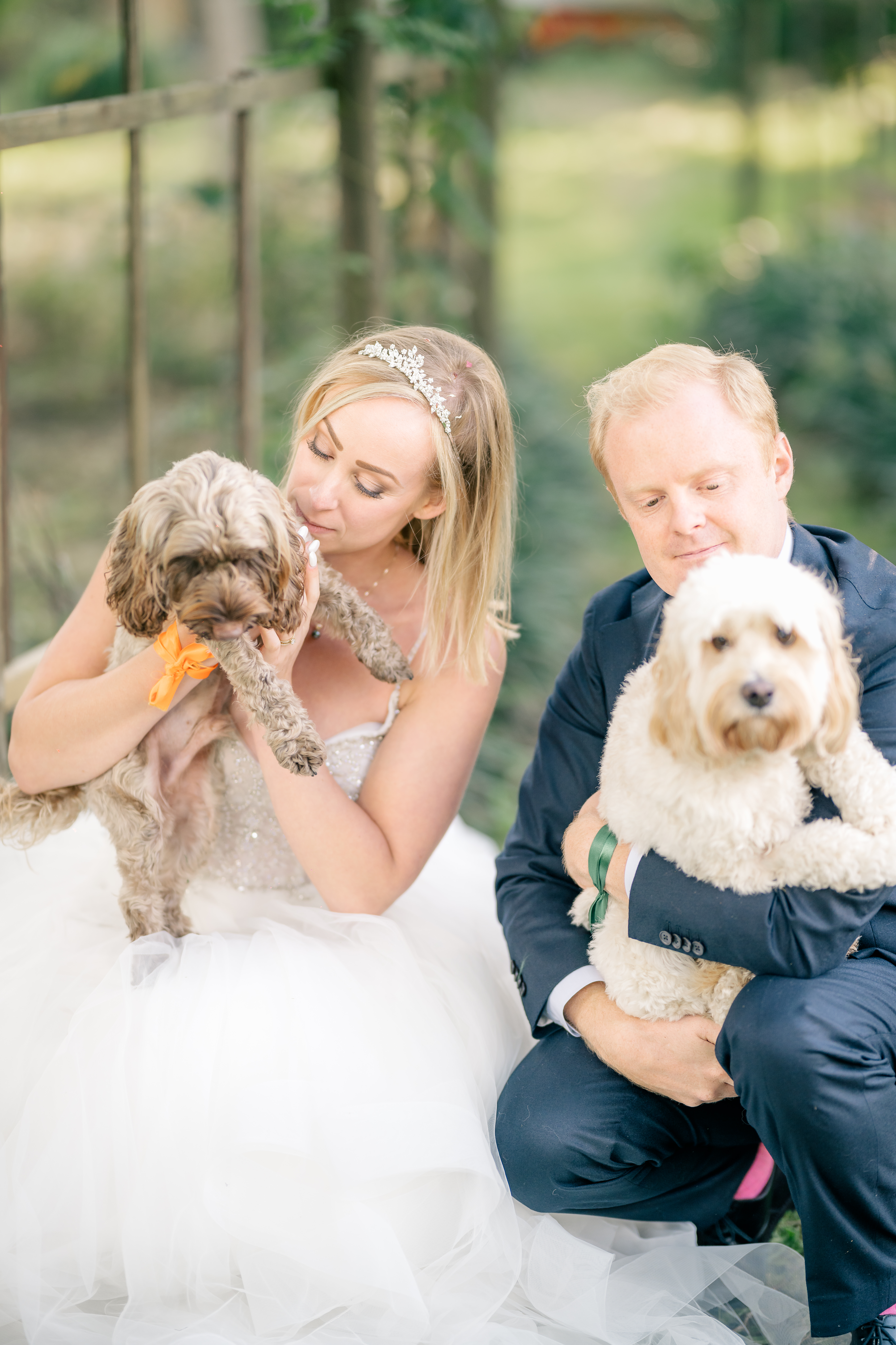 A bride and groom crouch to pet their puppy ring bearers in front of a green garden archway