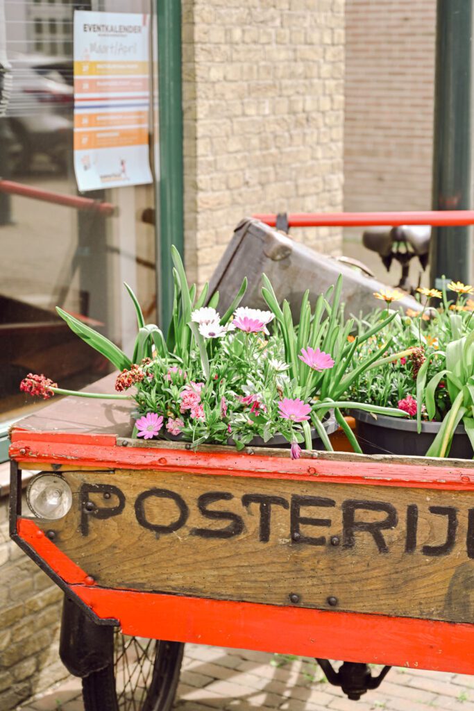 an antiek wooden bakfiets sits fulled with flowers on Dorpstraat Zoetermeer.  Elements like these help tell your Dutch love story with English storytelling